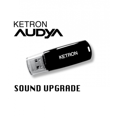 KETRON Pendrive 2010 AUDYA SOUND UPGRADE - pendrive z dodatkowymi stylami AUDYA